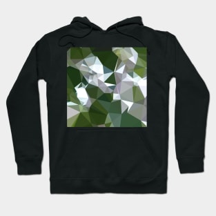 Castleton Green Abstract Low Polygon Background Hoodie